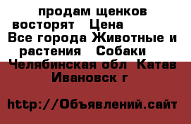 продам щенков восторят › Цена ­ 7 000 - Все города Животные и растения » Собаки   . Челябинская обл.,Катав-Ивановск г.